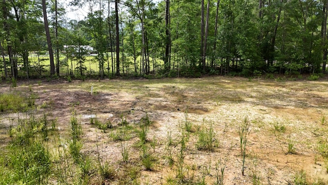 258 Lazy Acres Loop, Summerville, SC 29483