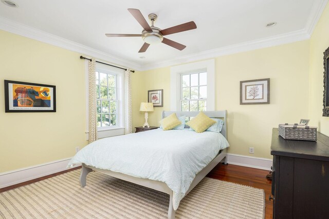 bedroom featuring dark hardwood / wood-style flooring, ornamental molding, ceiling fan, and multiple windows