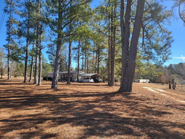 view of yard with a carport