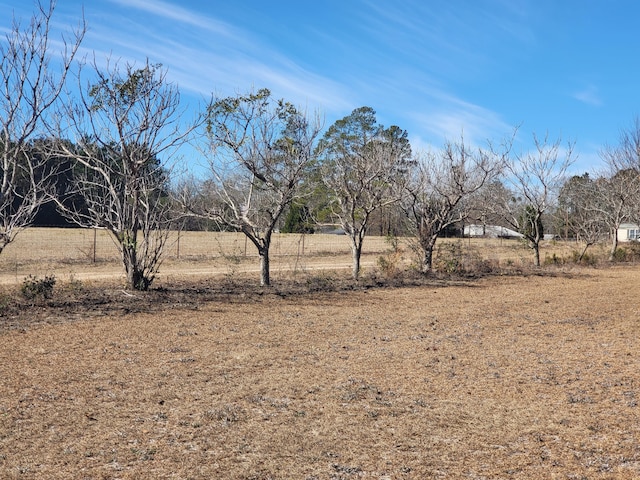 view of yard with a rural view