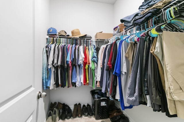 walk in closet featuring carpet floors