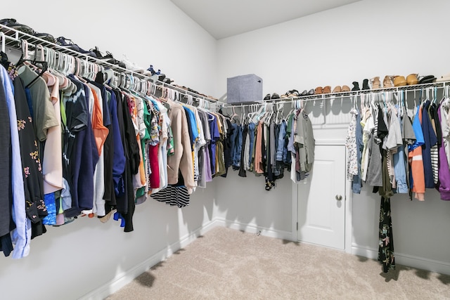 walk in closet with carpet flooring