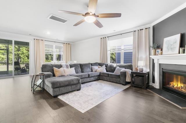 living room with crown molding, ceiling fan, and dark wood-type flooring