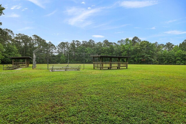 105 Londonderry Rd, Goose Creek, SC 29445 - view of yard