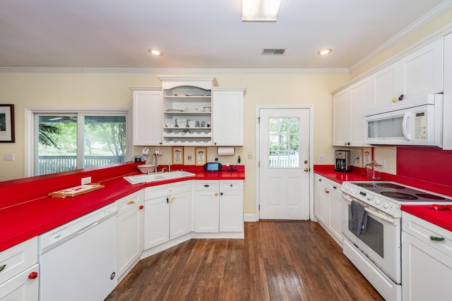 2613 Rivertowne Pkwy, Mount Pleasant, SC 29466 - kitchen featuring white appliances, a sink, open shelves, dark wood-type flooring, and crown molding