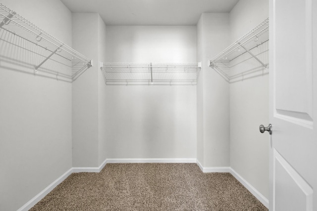 spacious closet with carpet floors