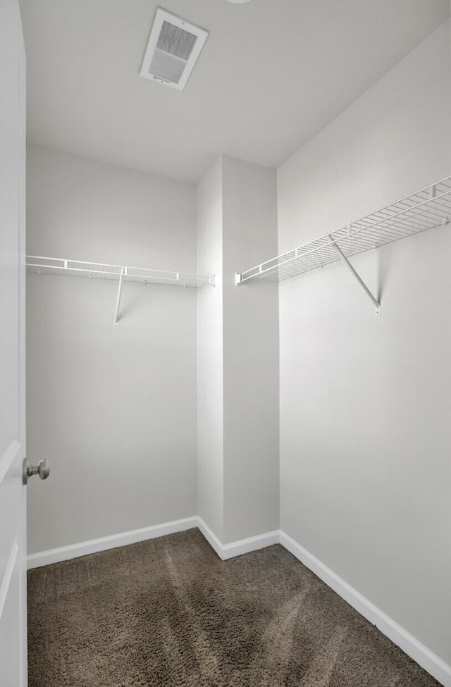 spacious closet featuring carpet floors