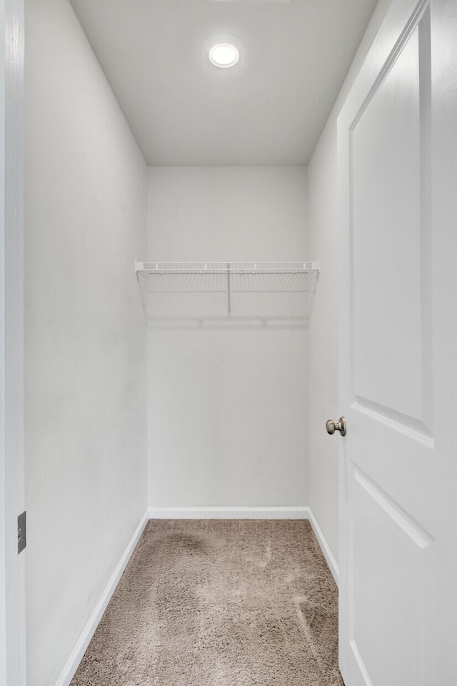 spacious closet with carpet floors