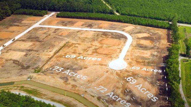 212 Bilge Rd, Ridgeville, SC 29472 - bird's eye view of a forest