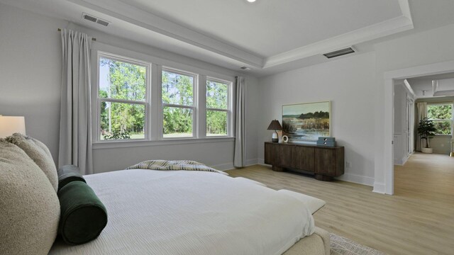 212 Bilge Rd, Ridgeville, SC 29472 - bedroom with a tray ceiling, light wood-style floors, and baseboards