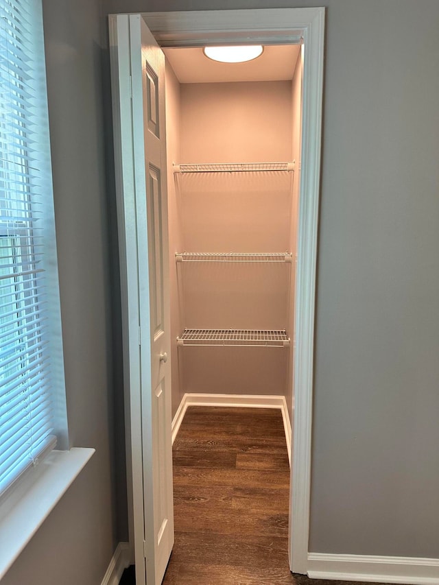 spacious closet with dark wood-type flooring