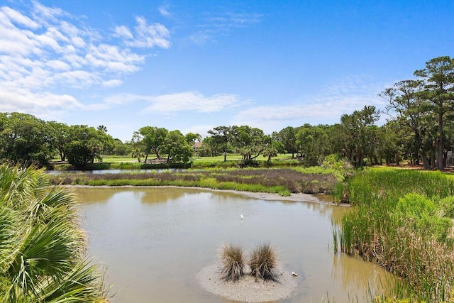 811 Treeloft Trce, Seabrook Island, SC 29455 - water view