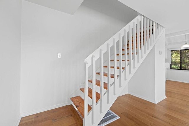 811 Treeloft Trce, Seabrook Island, SC 29455 - stairs with wood finished floors