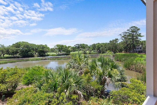 811 Treeloft Trce, Seabrook Island, SC 29455 - water view
