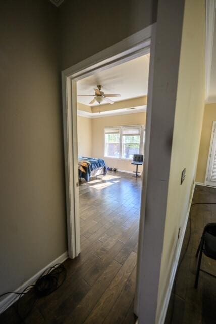 hallway featuring dark hardwood / wood-style floors and crown molding