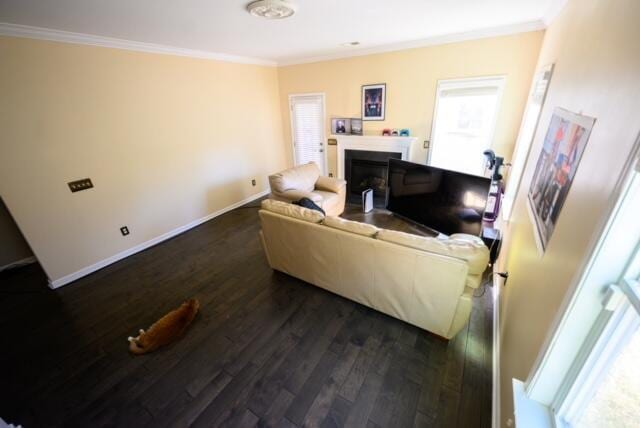 living room featuring dark hardwood / wood-style floors and ornamental molding