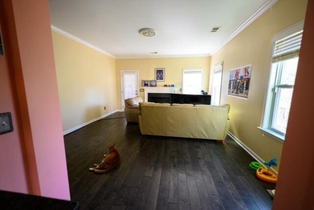 living room featuring dark hardwood / wood-style floors, crown molding, and a healthy amount of sunlight