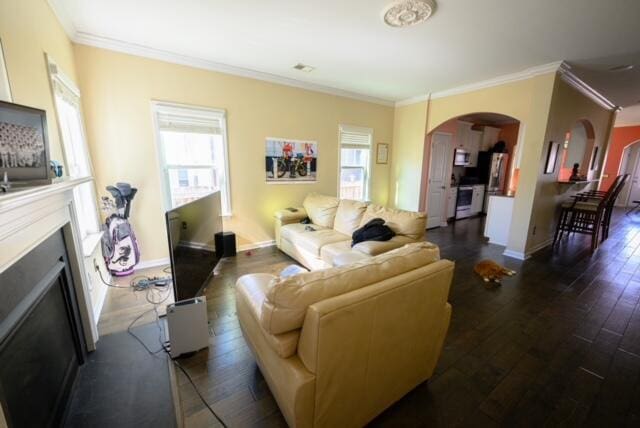 living room featuring ornamental molding and dark hardwood / wood-style floors