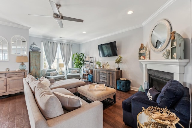 living area featuring ornamental molding, dark wood finished floors, and a fireplace