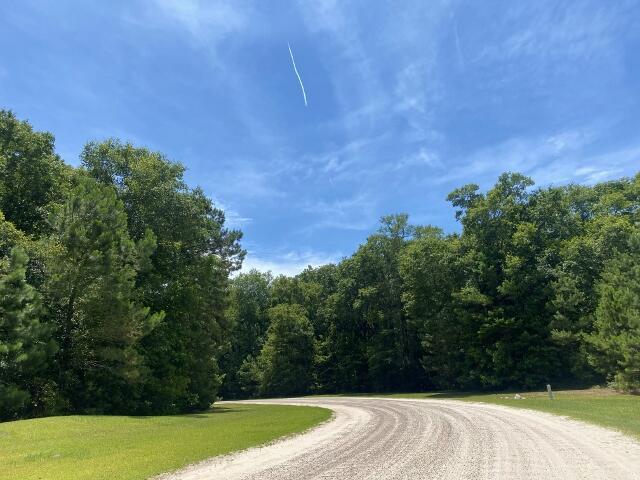 25 Blackbear Rd, Edisto Island, SC 29438