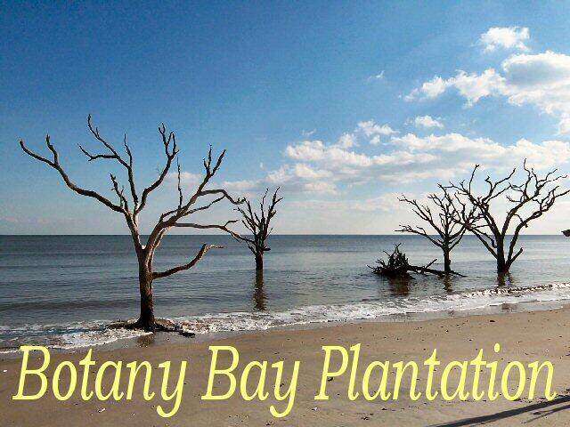 25 Blackbear Rd, Edisto Island, SC 29438