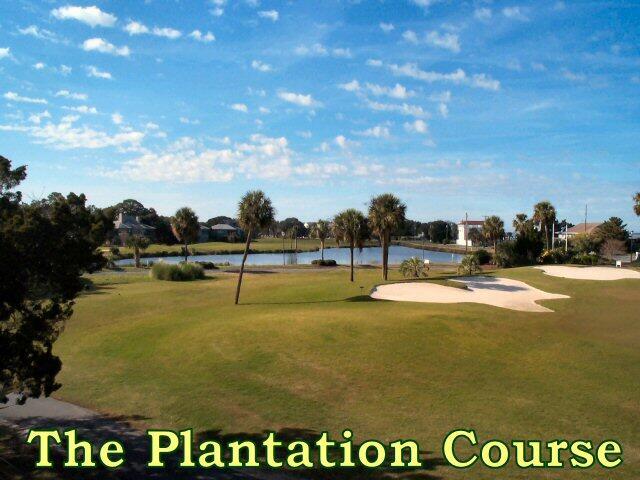 25 Blackbear Rd, Edisto Island, SC 29438
