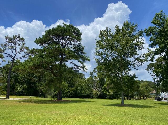 25 Blackbear Rd, Edisto Island, SC 29438