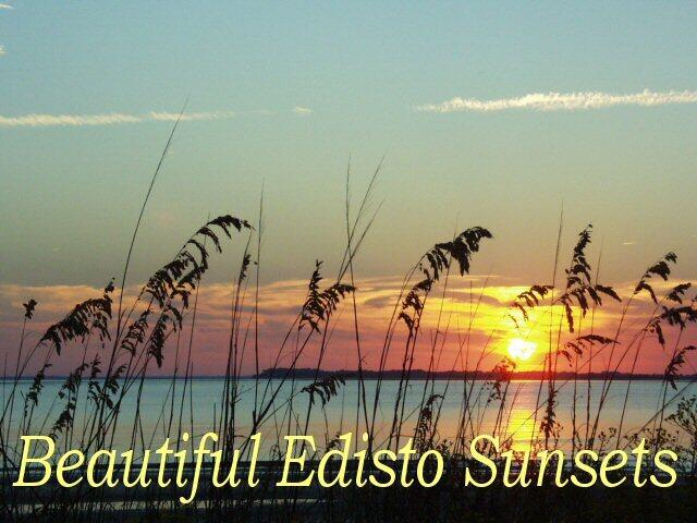 25 Blackbear Rd, Edisto Island, SC 29438
