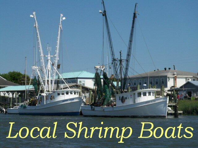 25 Blackbear Rd, Edisto Island, SC 29438