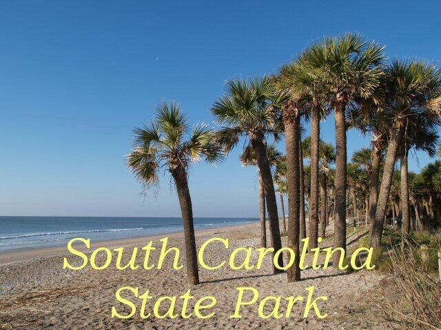 25 Blackbear Rd, Edisto Island, SC 29438