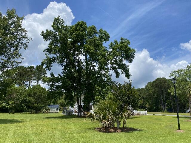 25 Blackbear Rd, Edisto Island, SC 29438