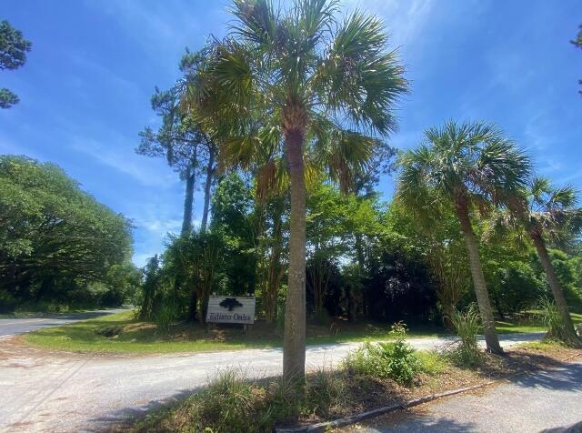 25 Blackbear Rd, Edisto Island, SC 29438