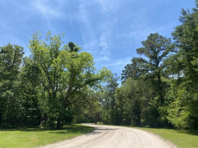 25 Blackbear Rd, Edisto Island, SC 29438