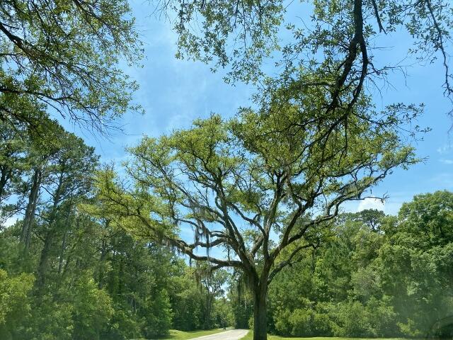 25 Blackbear Rd, Edisto Island, SC 29438