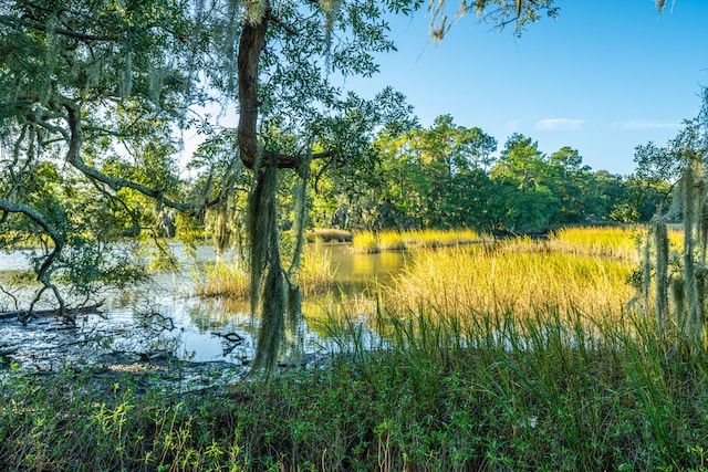 view of nature with a water view