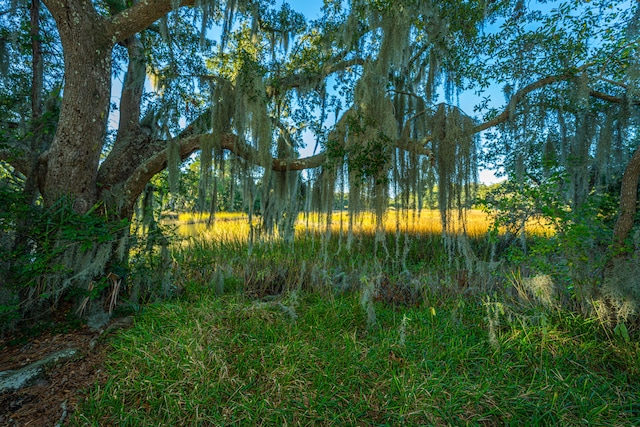 view of nature