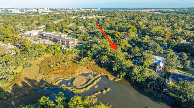 aerial view with a water view