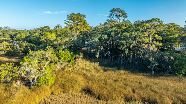 view of nature