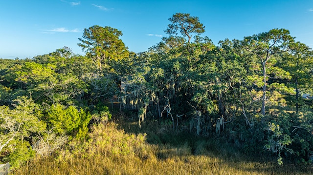 view of landscape