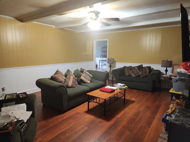 living room with beam ceiling, ceiling fan, dark hardwood / wood-style floors, and ornamental molding