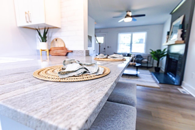 2020 Piper Dr, Charleston, SC 29407 - kitchen featuring white cabinets, a fireplace with raised hearth, dark wood-style floors, and a ceiling fan