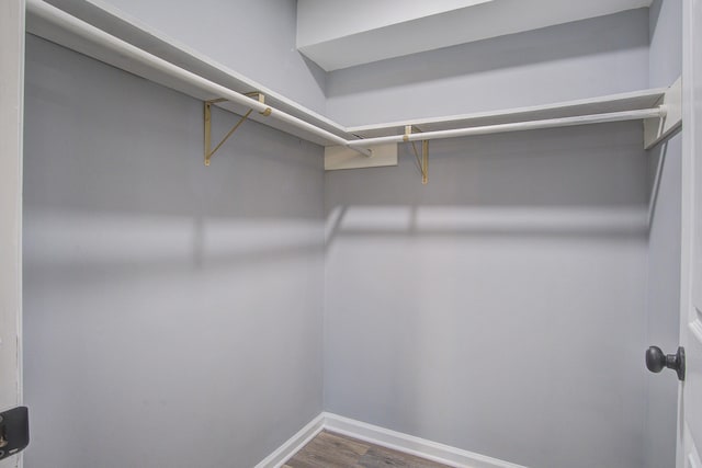 walk in closet with wood finished floors