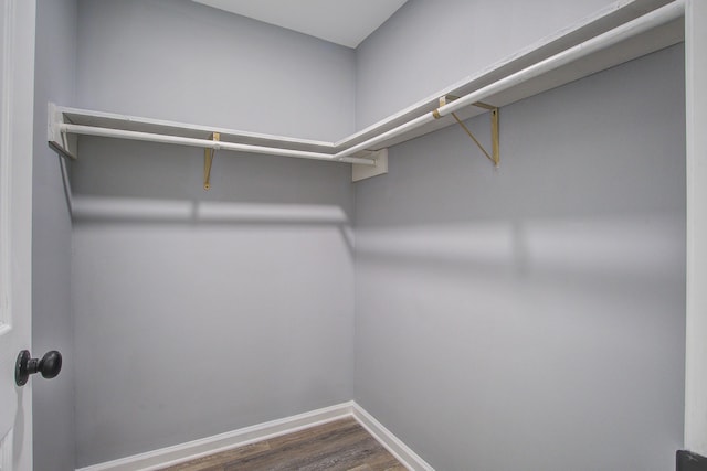 walk in closet featuring dark wood finished floors