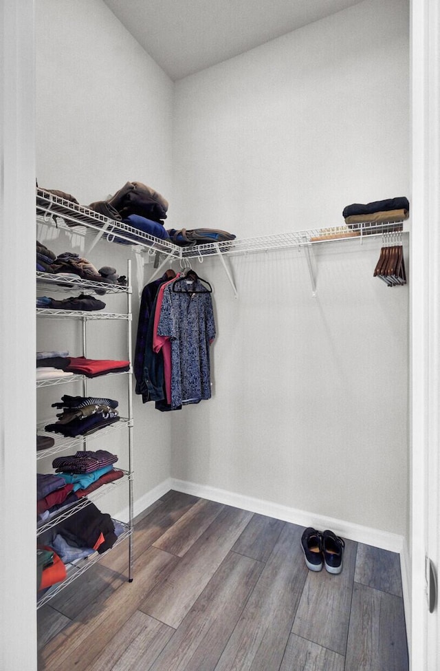 walk in closet with hardwood / wood-style floors