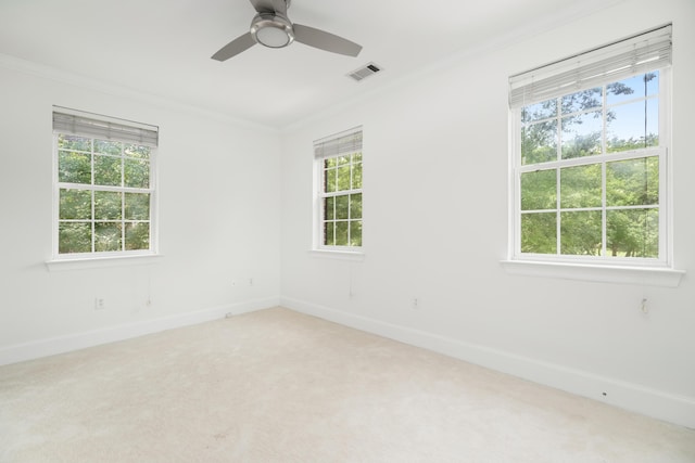 861 Center Park St, Charleston, SC 29492 - spare room with crown molding, healthy amount of natural light, carpet floors, and baseboards