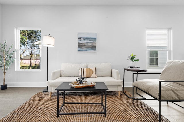 living room featuring dark wood-type flooring