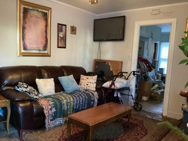 living room with crown molding