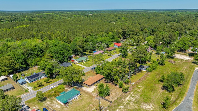 565 Estates Dr, Walterboro, SC 29488 - bird's eye view of a forest