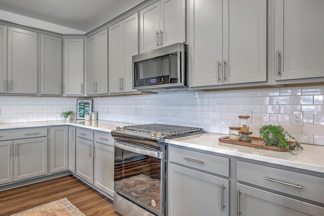175 Darby Meadow Ln, Ridgeville, SC 29472 - kitchen with gray cabinetry, stainless steel appliances, and light countertops