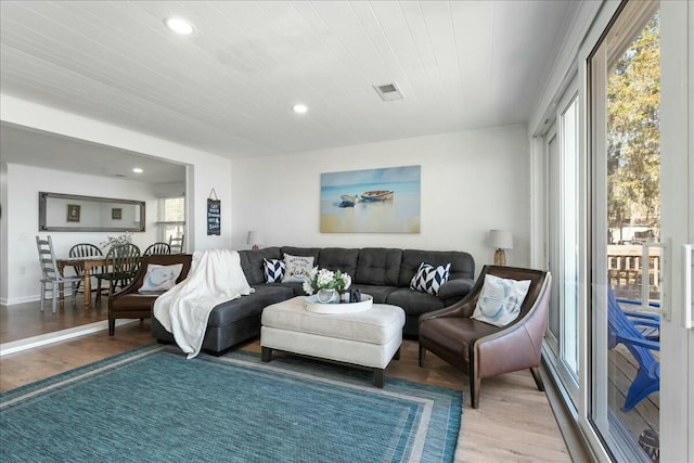 living room featuring wood-type flooring